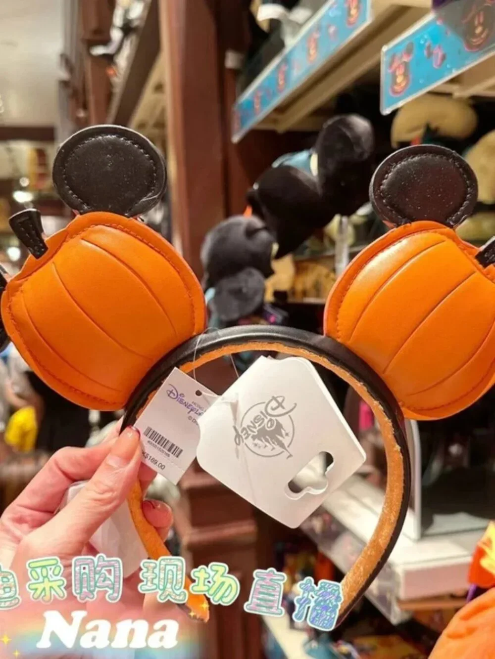 Disney disney` parks